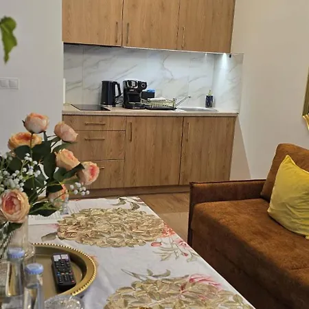 Apartment Cicha 12 18a2 The Royal Gorski Z Garazem Podziemnym W Centrum Krynica-Zdrój